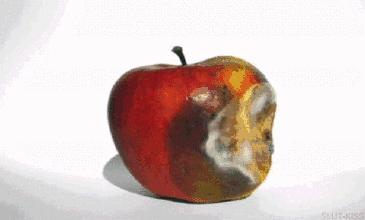 第199页